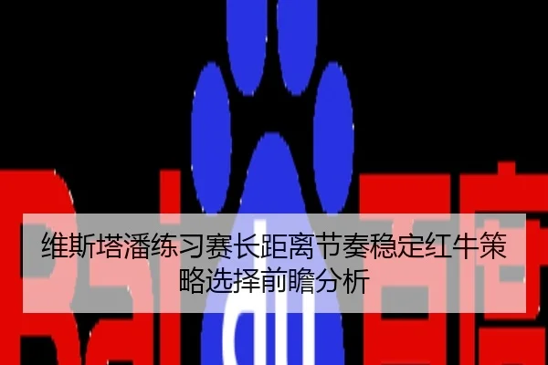 维斯塔潘练习赛长距离节奏稳定红牛策略选择前瞻分析